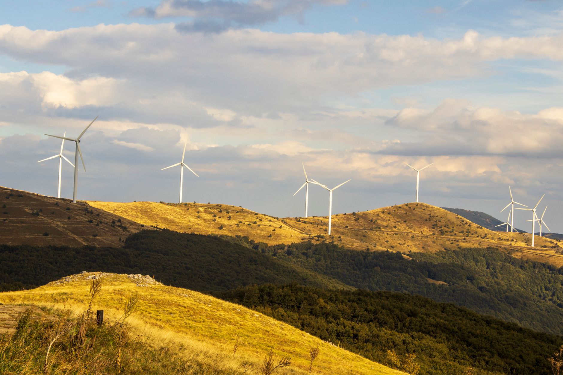 UK Businesses Embrace Renewable Energy: A Strategic Shift